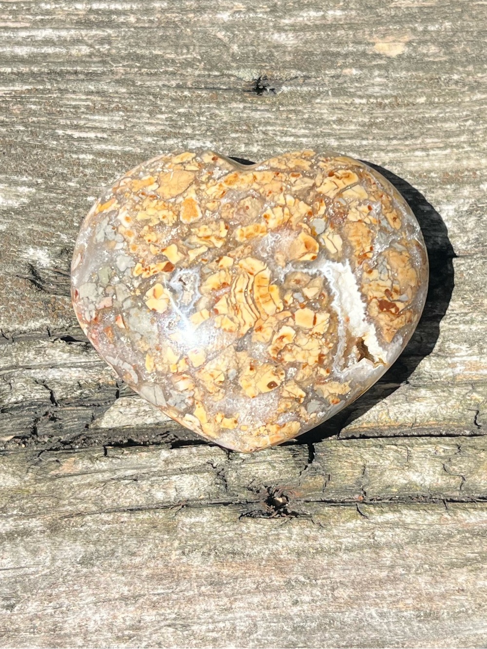 Ibis Jasper Heart